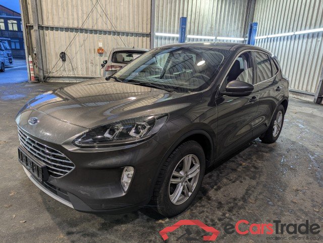 Ford Kuga ´19 Kuga Titanium X 2.0 EcoBlue 140KW AT8 E6dT #1