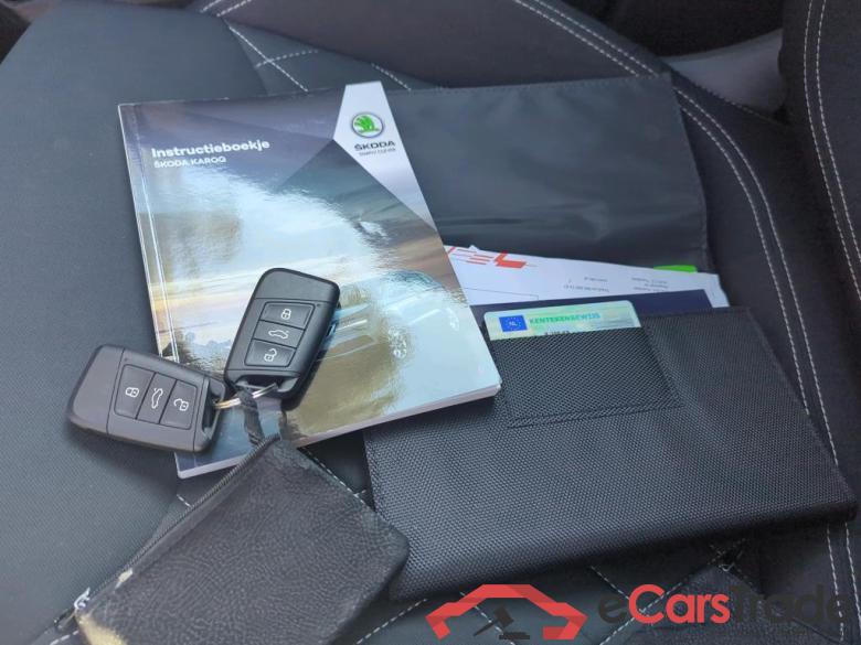 SKODA Karoq 110 kW #6