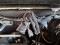 preview Renault Master #4