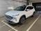 preview Hyundai Santa Fe #0