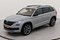preview Skoda Kodiaq #0