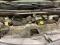 preview Renault Trafic #5