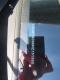 preview MG ZS #4