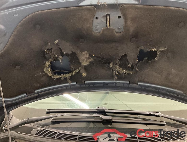 FORD Transit Custom 320S Fou Swb Transit Custom 2.0 TDCi L1H1 Limited Multi S/S (EU6.2) #5