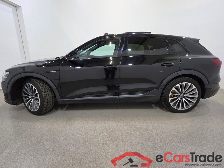 Audi E-tron 55 Quattro Advanced Aut. Pano Virtual Mirrors LED-Matrix Virtual Head-Up B&O Ambient Navi-Pro Leather KeylessGo Camera 360 Klima PDC ... #2