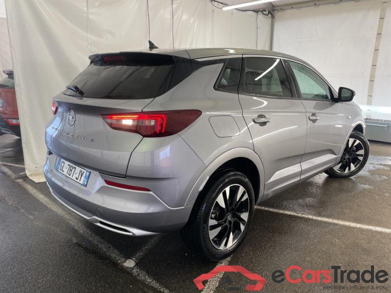 Grandland X Business Elegance 1.5 130CV BVA8 E6d #3