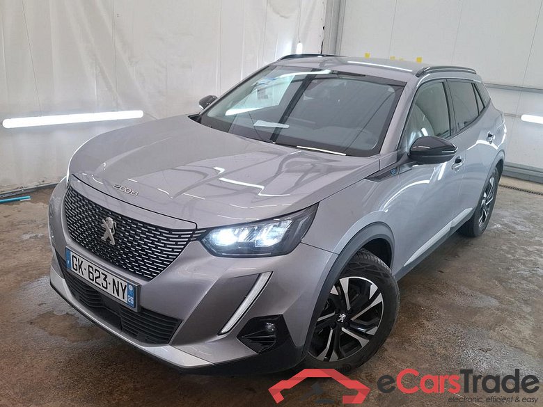 2008 (e-) Road Trip 50kWh BVA #1