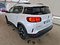 preview Citroen C5 Aircross #1
