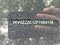 preview Volkswagen T-Cross #1