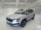 preview Skoda Karoq #0