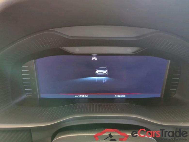 Kodiaq Sportline 4x4 2.0 TDI 110KW AT7 E6d #5