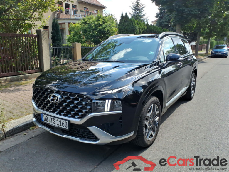 Hyundai Santa Fe  #2