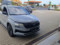 preview Skoda Karoq #1