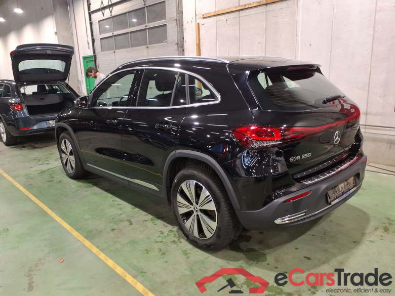 MERCEDES-BENZ EQA BEV 67KWH EQA 250 BUSINESS LINE #2