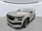 preview Skoda Kodiaq #0