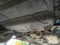 preview Volkswagen Passat Variant #4