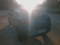 preview Dacia Sandero #2