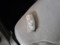 preview Ford Transit #5