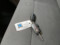 preview Volkswagen Other #4